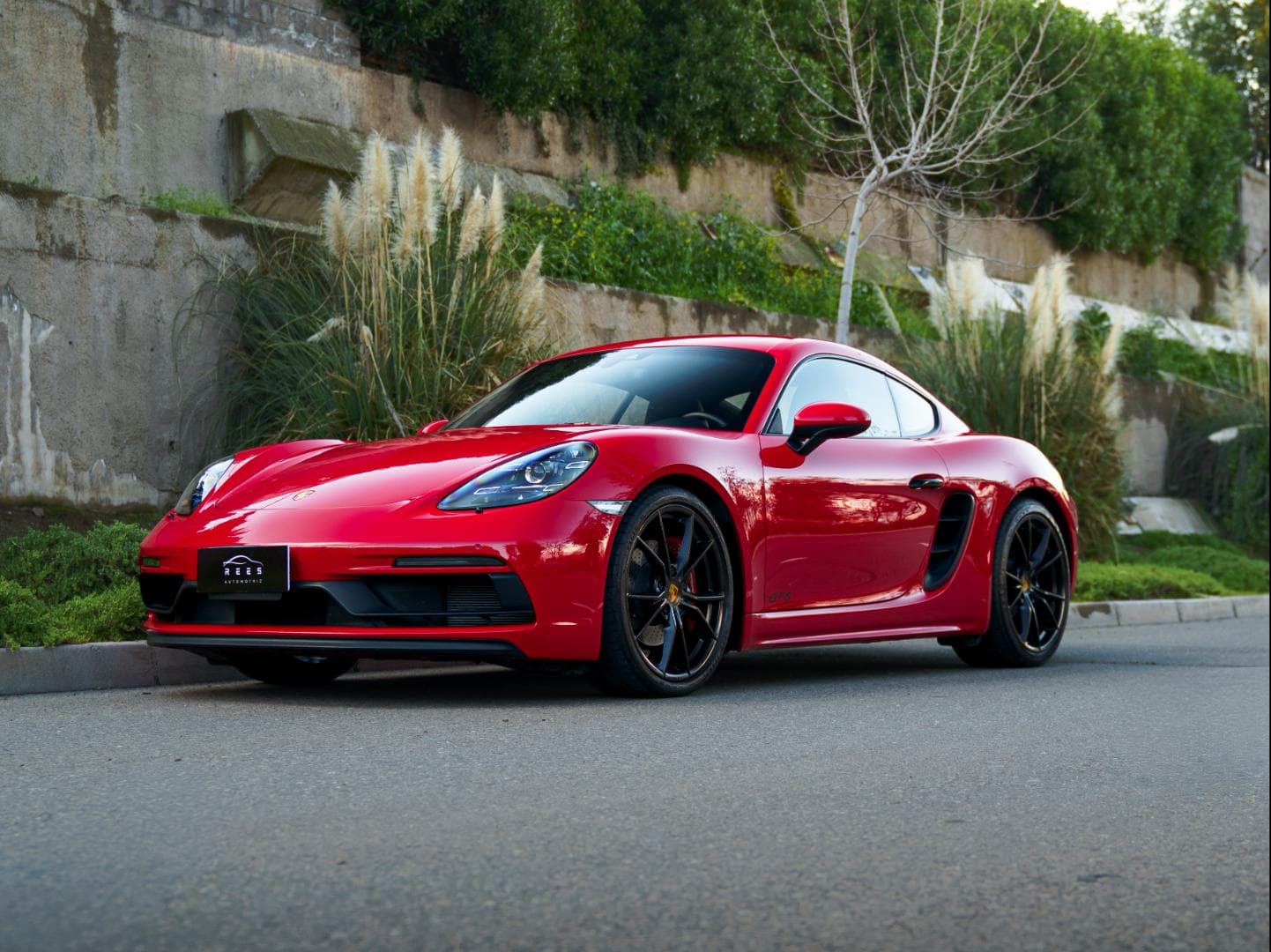 Porsche 718 Cayman Gts